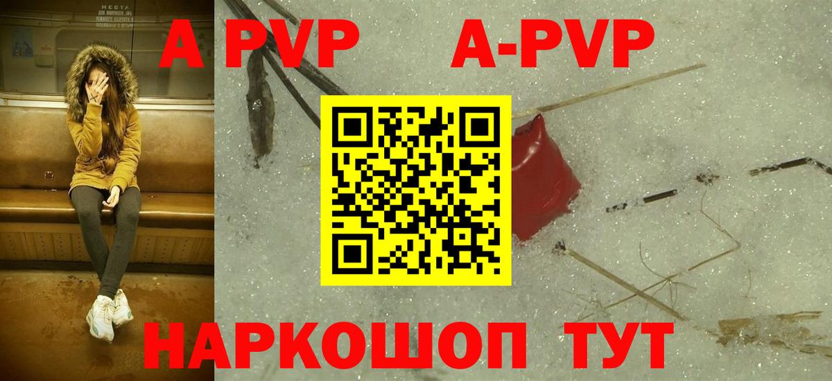 A PVP СК КРИС Старая Русса