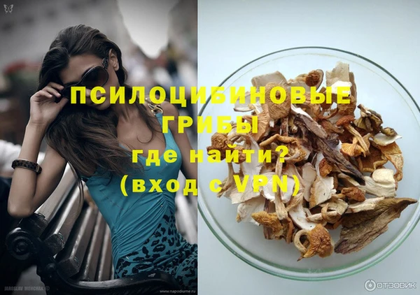 не бодяженный Алексин
