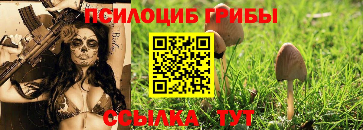 закладка  Псилоцибиновые грибы Magic Shrooms  Вход с VPN  Псилоцибиновые грибы прущие грибы  Старая Русса 